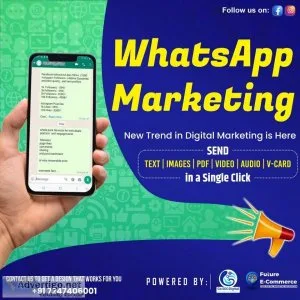Bulk whatsapp marketing service in bilaspur