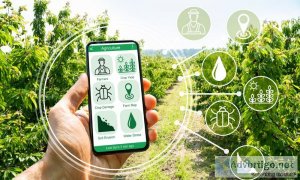 Optimize resource allocation with our smart farming app