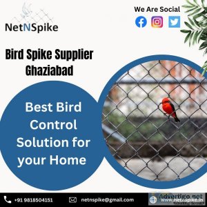 Netnspike: your trusted bird spike supplier ghaziabad
