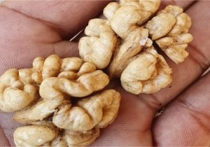 Buy kashmiri walnuts online for health benefits - enjoy the good