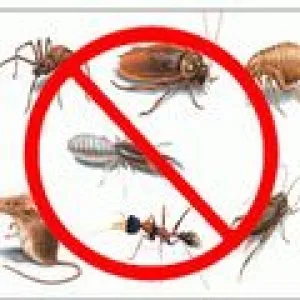 Top rated pest control liberty mo services in usa