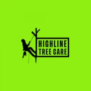 Tree removal in hamilton