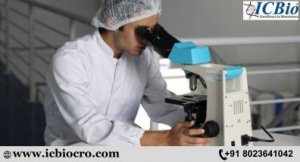 A complete guideline for bioavailability studies - icbiocro