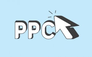 What is the role of a ppc company in delhi in driving results fo