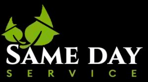 Affordable lawn and tree care services - same day service