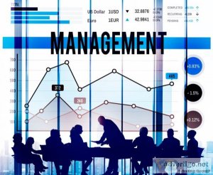 Streamline success with enterprise project management solutions