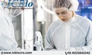 Bio Analytical Services Provider In Bangalore - Icbiocro