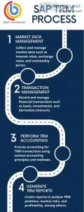 Sap trm online training | sap trm online course