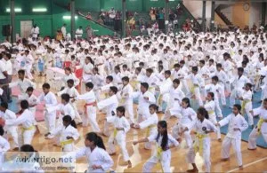 Unleash your inner warrior with nochikan karate international
