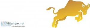 Best trading platform online