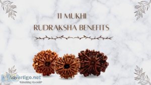 Buy 11 mukhi rudraksha online at best price