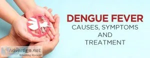 Dengue fever symptoms - dr axico