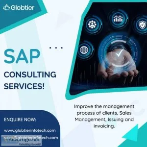 Sap consulting services provider