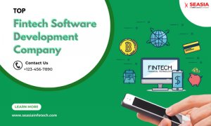 Top rated fintech software development company - seasia infotech