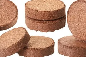 Coco peat in australia