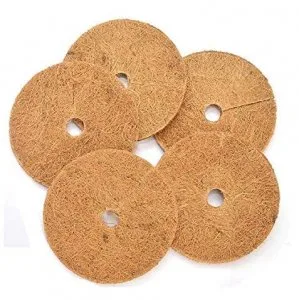 Coir pith in australia
