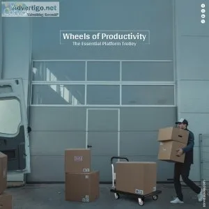 Multipurpose ladder