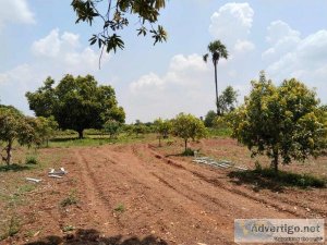 Open plots for sale in vijayawada - mallavalli