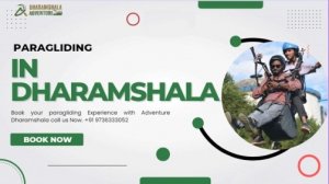 Best paragliding services in dharamshala