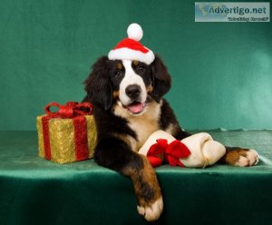 Special gifts