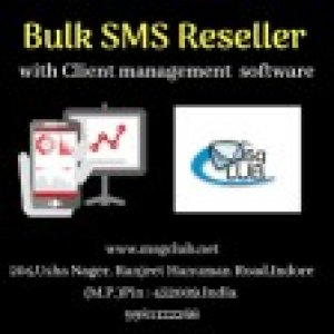 Benefits of adopting bulk sms reselling as a business
