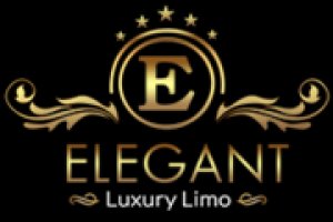 Best luxury limo service nyc elegant limo service nyc