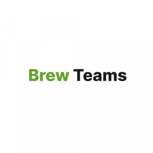 Should companies hire developers? - brew teams