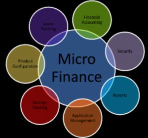 Microfinance software company in lucknow