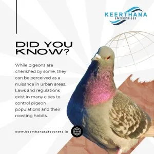 Pigeon net installation in pune