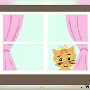 Kitten Sense