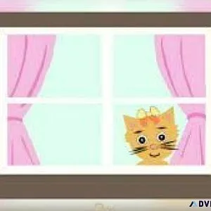 Kitten Sense