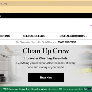 The Avon Experience
