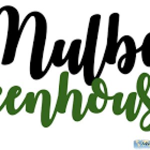 Buy Riga XL Greenhouse - Mulberry Greenhouses