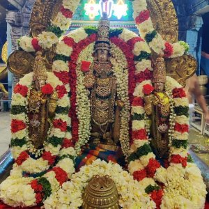 Padmavathi travels chennai to tirupati tour packages