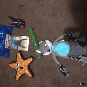 Dog feed bowel and toys