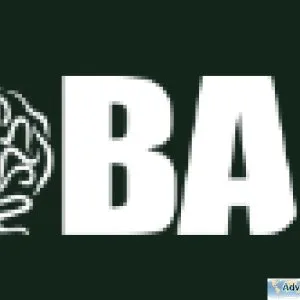 Join the Brainfood Academy community today