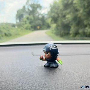 Seattle Seahawks Pipsqueak Dashboard Buddy