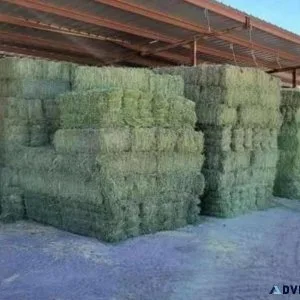 TimothyOrchard and Alfalfa hay mixed grass