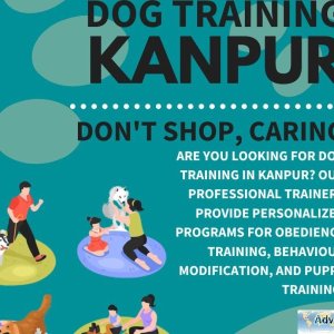 Dog Trainer in Kanpur