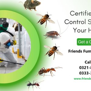 Pest control service - fumigation services karachi