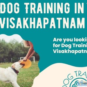 Dog Trainer in Visakhapatnam