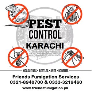 Fumigation services in karachi 0333-3219460