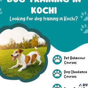 Dog Trainer in Kochi