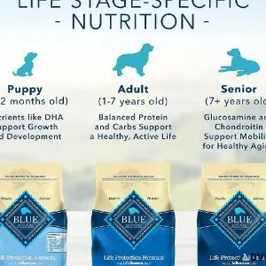 Blue Buffalo Life Protection Formula Natural Adult Dry Dog Food