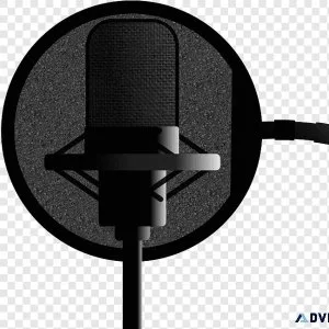 Dubbing artist  Professional quality dubbing