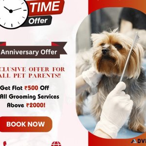 Get Rs.500- off on all grooming services above Rs.2000-