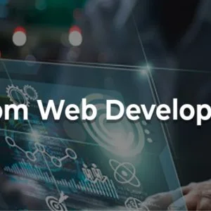 Custom web development