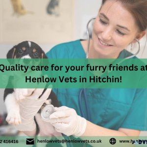 Quality care for your furry friends at Henlow Vets in Hitchin