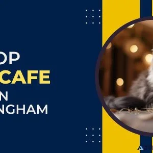 Top Cat Cafe in Birmingham