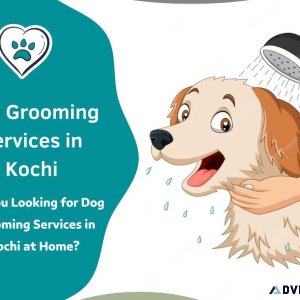 Dog Grooming Services in Kochi